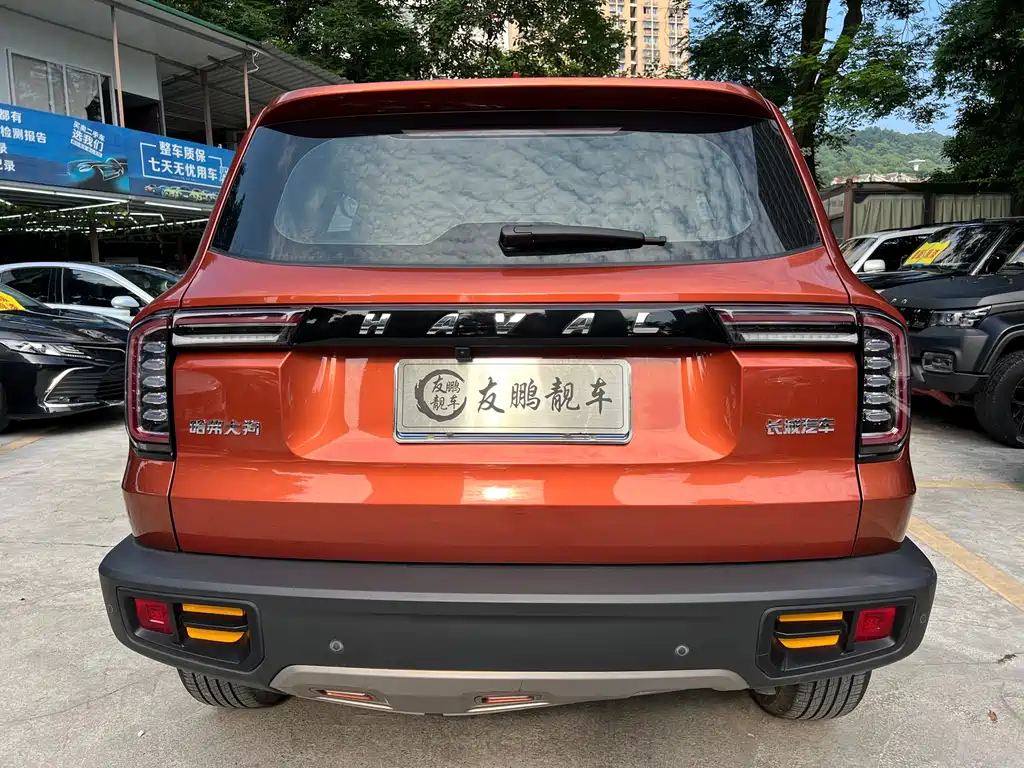 Haval Big Dog 2022 — фото 21