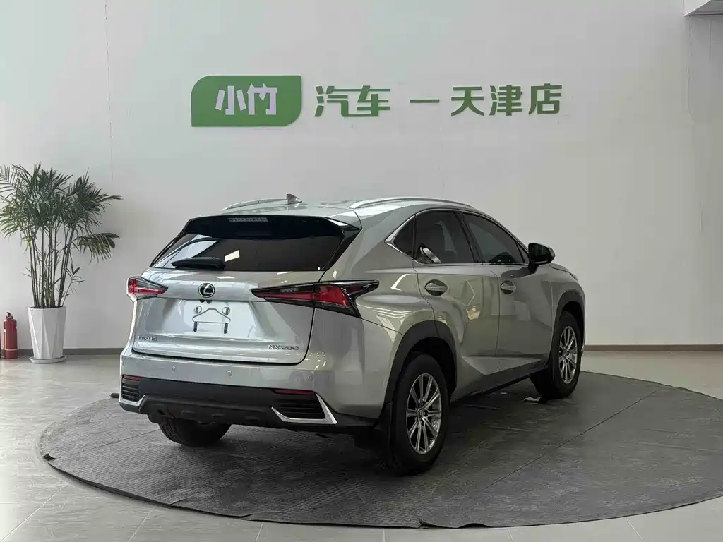Lexus NX 2020 — фото 8