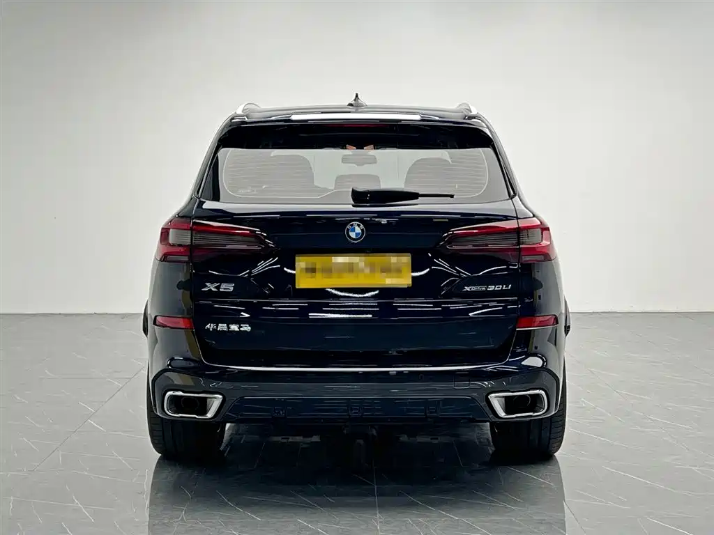 BMW X5 2024