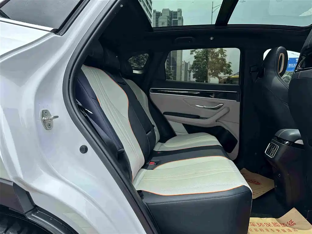 BYD PLUS New Energy 2023 — фото 19