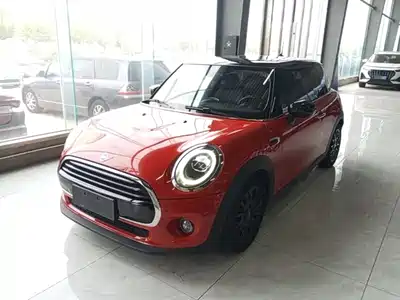 MINI MINI 2020