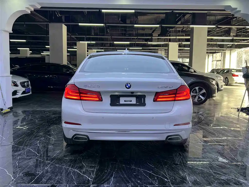 BMW 5 Series 2019 — фото 19