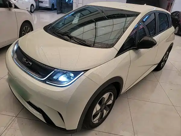 BYD Dolphin 2024