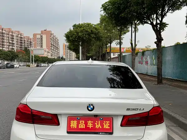 BMW 5 Series 2019