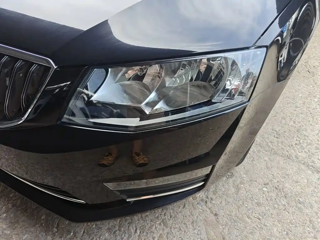 Skoda Octavia 2017 — фото 24