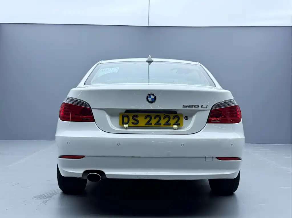 BMW 5 Series 2010