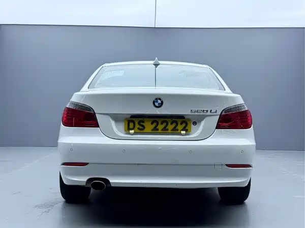 BMW 5 Series 2010