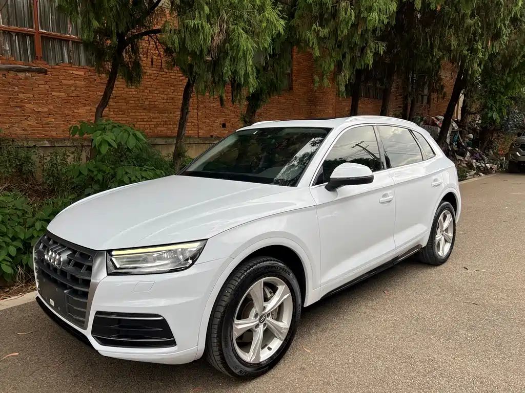 Audi Q5L 2019 — фото 1