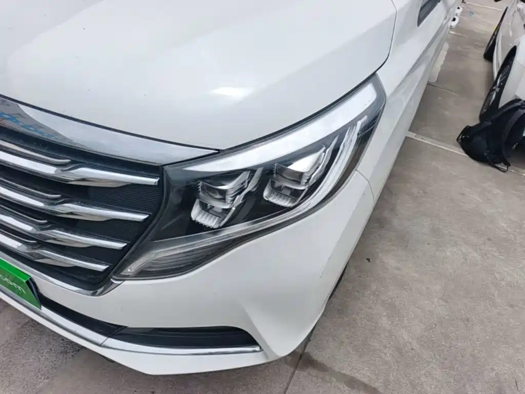 GAC Motor Trumpchi M8 2019 — фото 24