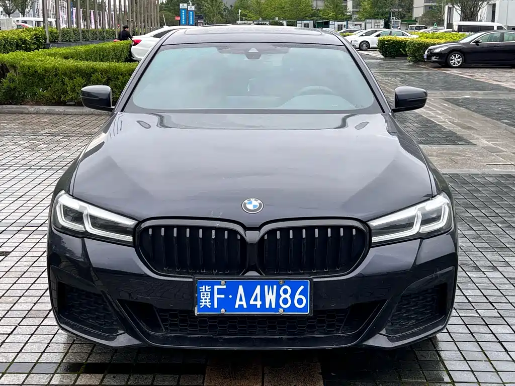 BMW 5 Series 2020