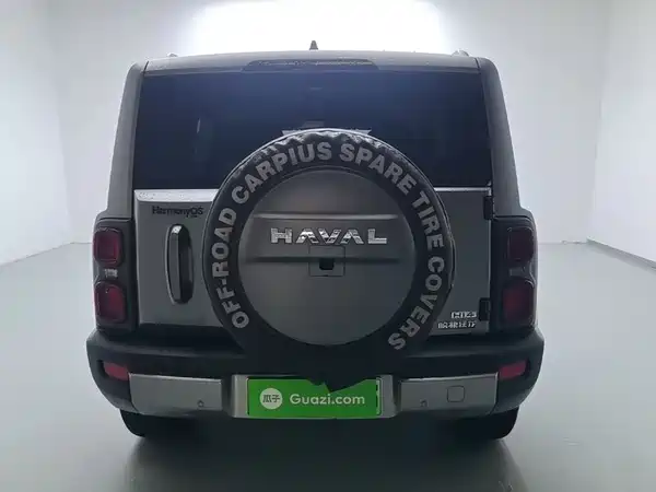 Haval Raptors New Energy 2024