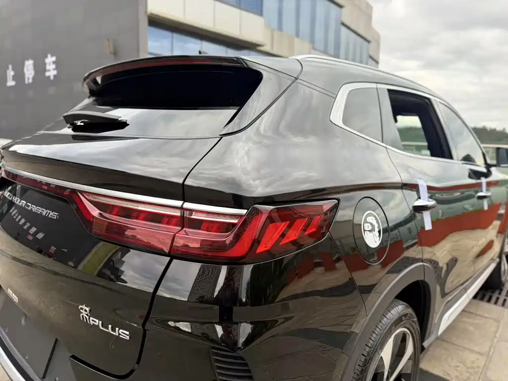 BYD PLUS New Energy 2023 — фото 24