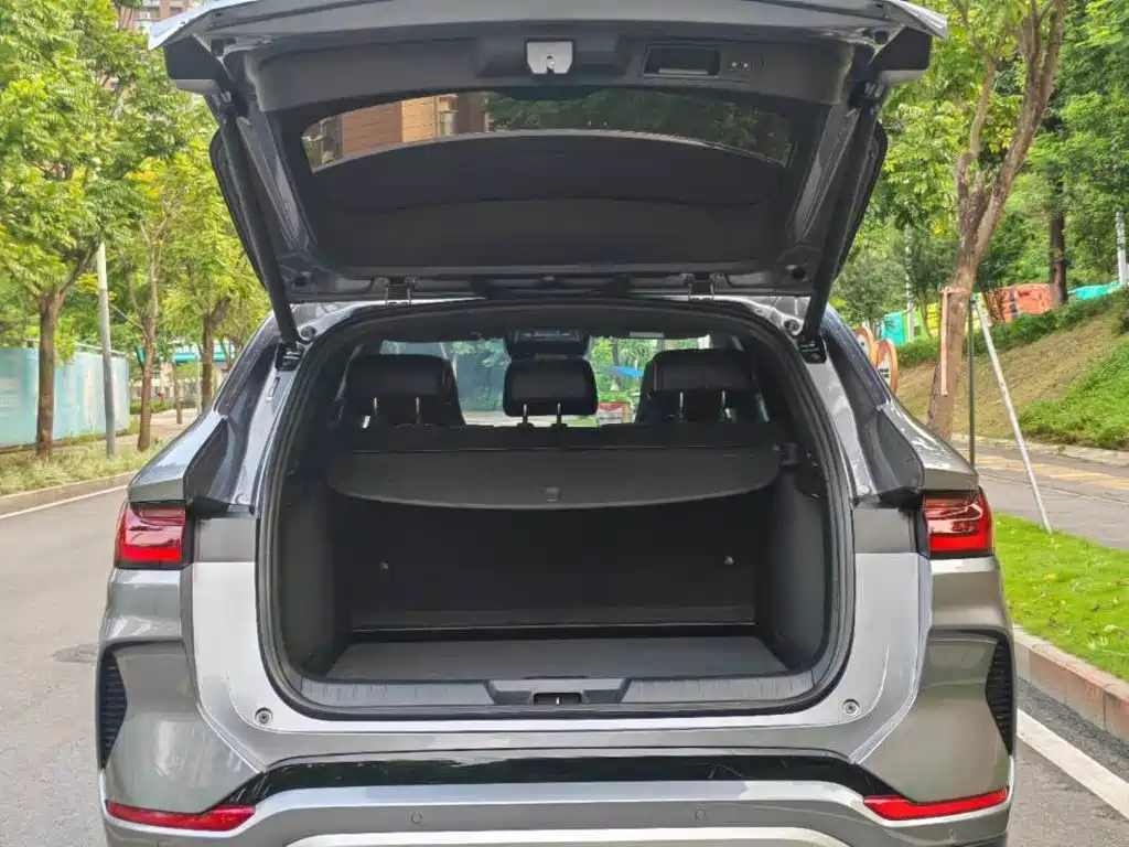 BYD Song PLUS New Energy 2024 — фото 6