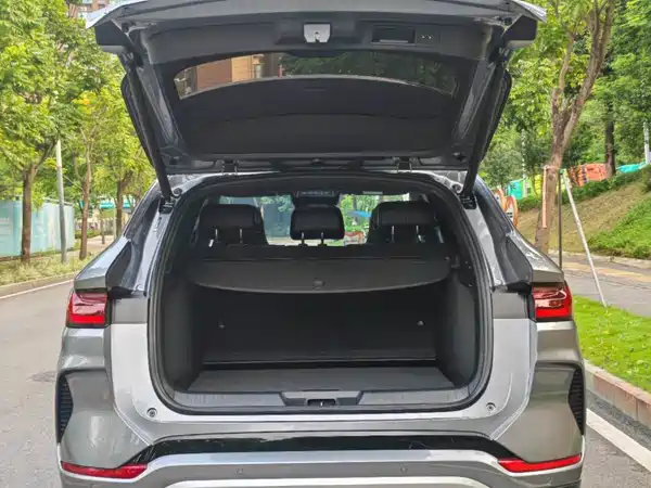 BYD Song PLUS New Energy 2024