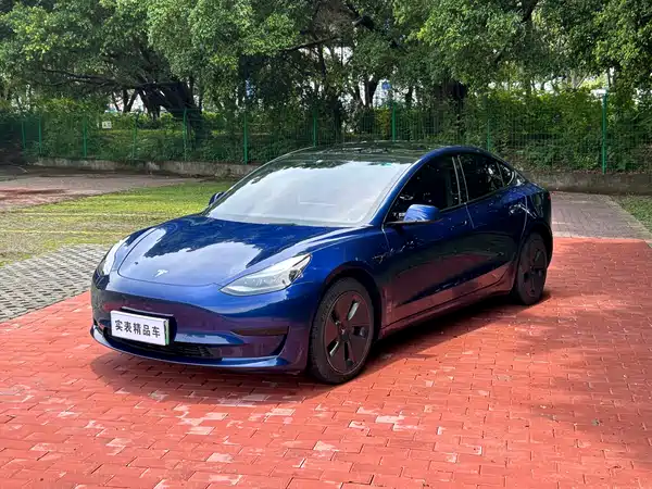 Tesla Model 3 2021