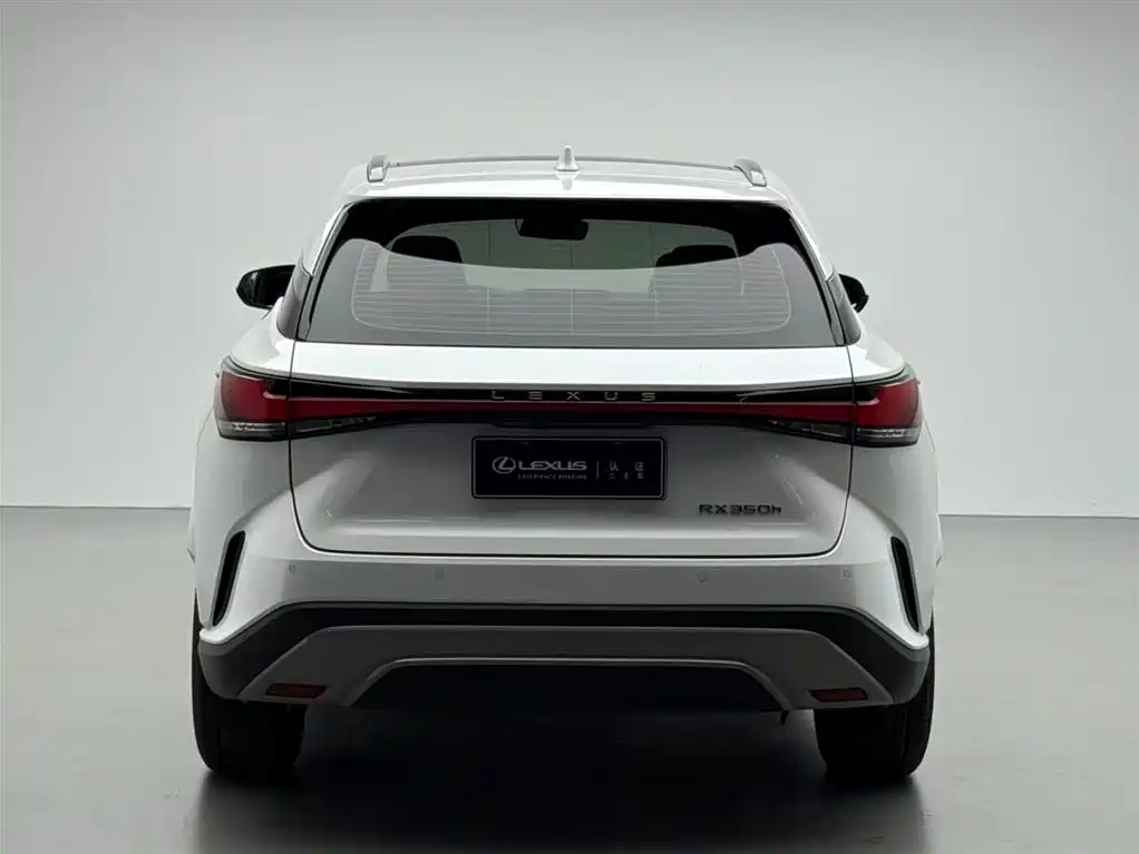 Lexus RX 2024 — фото 17