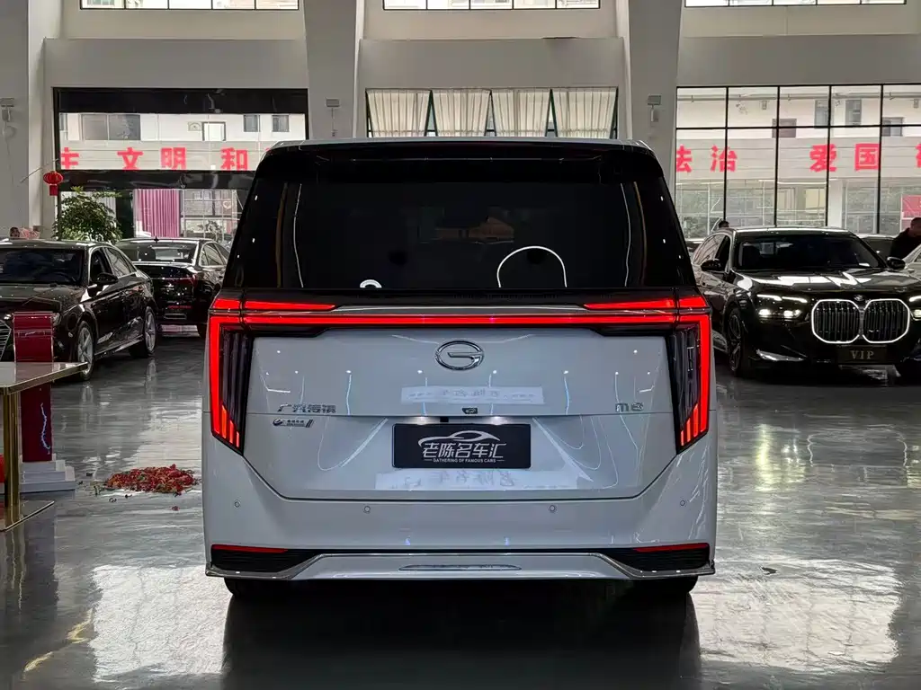 GAC Motor Trumpchi M8 2023 — фото 8