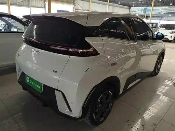 BYD Seagull 2024