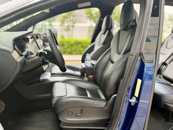 Tesla Model X 2019