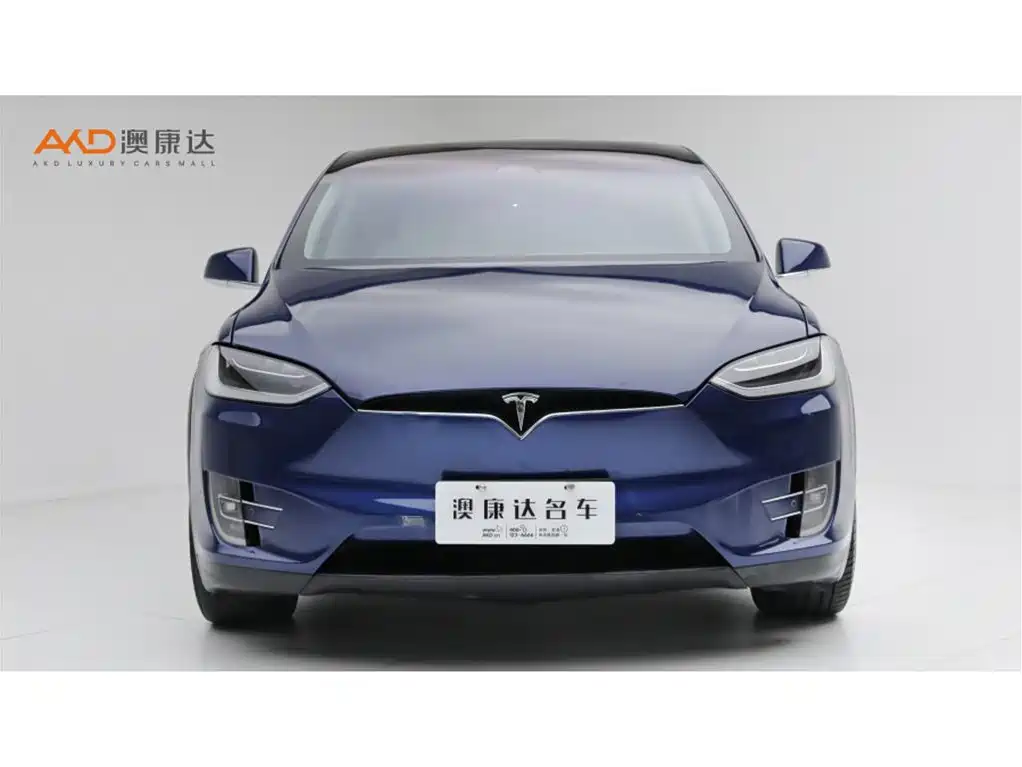 Tesla Model X 2019 — фото 2