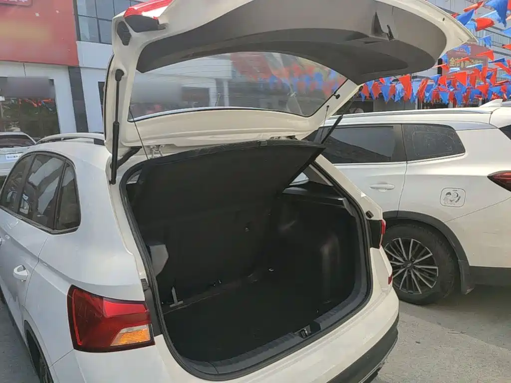 Skoda Kamiq 2020 — фото 15