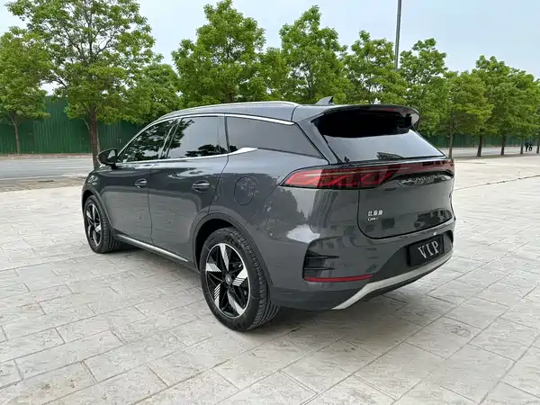 BYD Tang New Energy 2024
