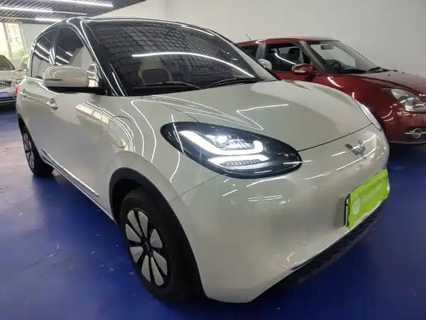 Wuling Bingo 2024