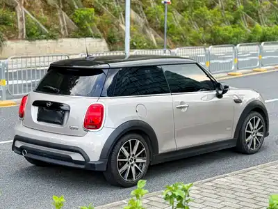 MINI MINI 2022