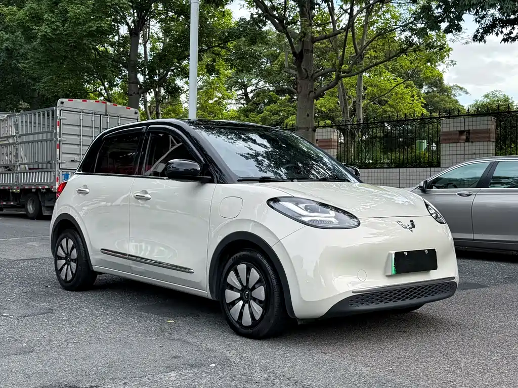 Wuling Bingo 2024