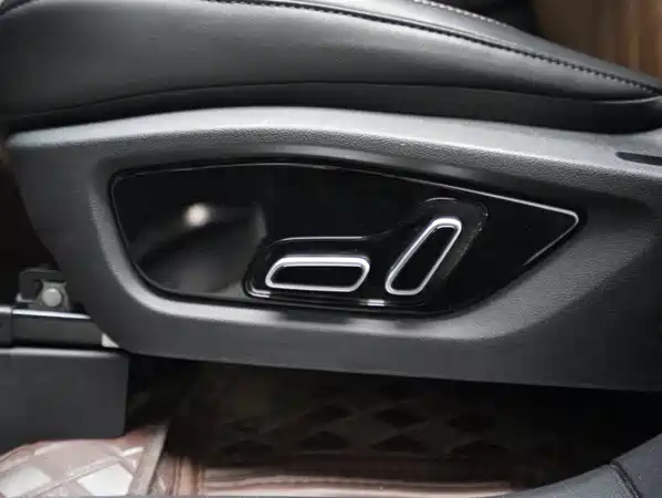 BYD Tang New Energy 2021