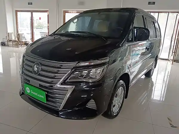 Dongfeng Lingzhi 2024
