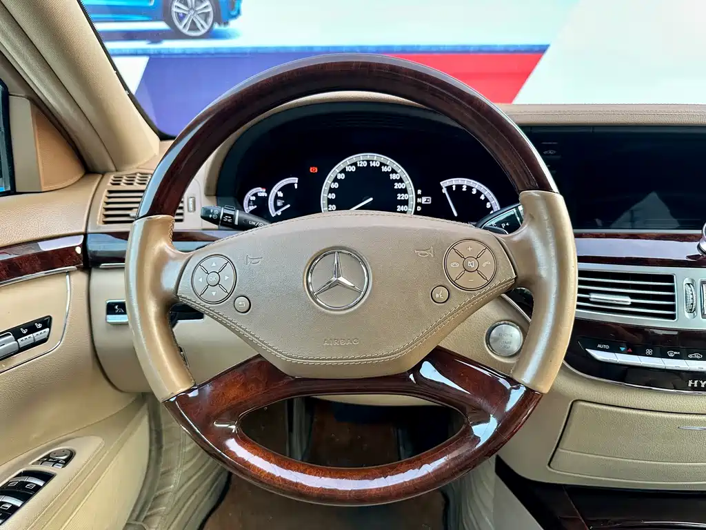 Mercedes-Benz S-Class 2010 — фото 14