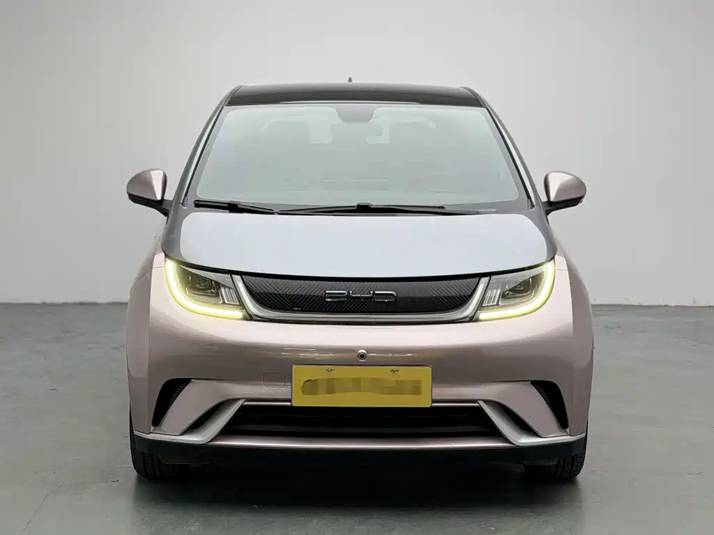 BYD Dolphin 2022