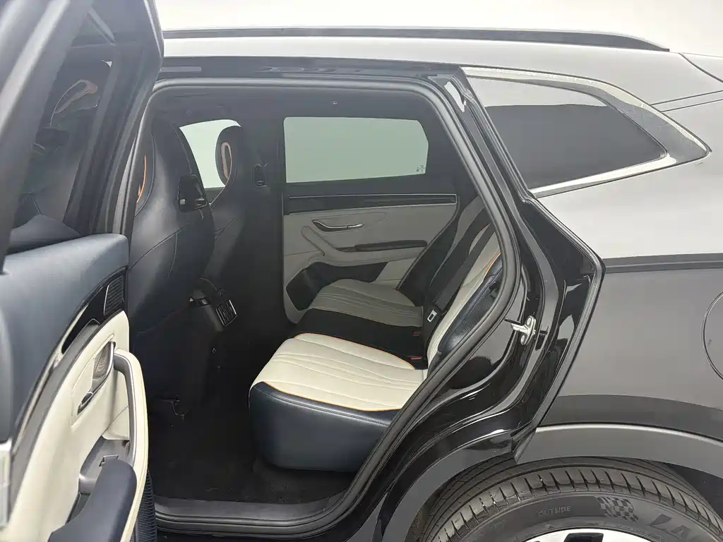 BYD Song PLUS New Energy 2024 — фото 13