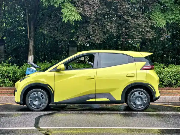 BYD Seagull 2024
