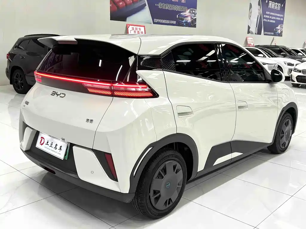 BYD Seagull 2025