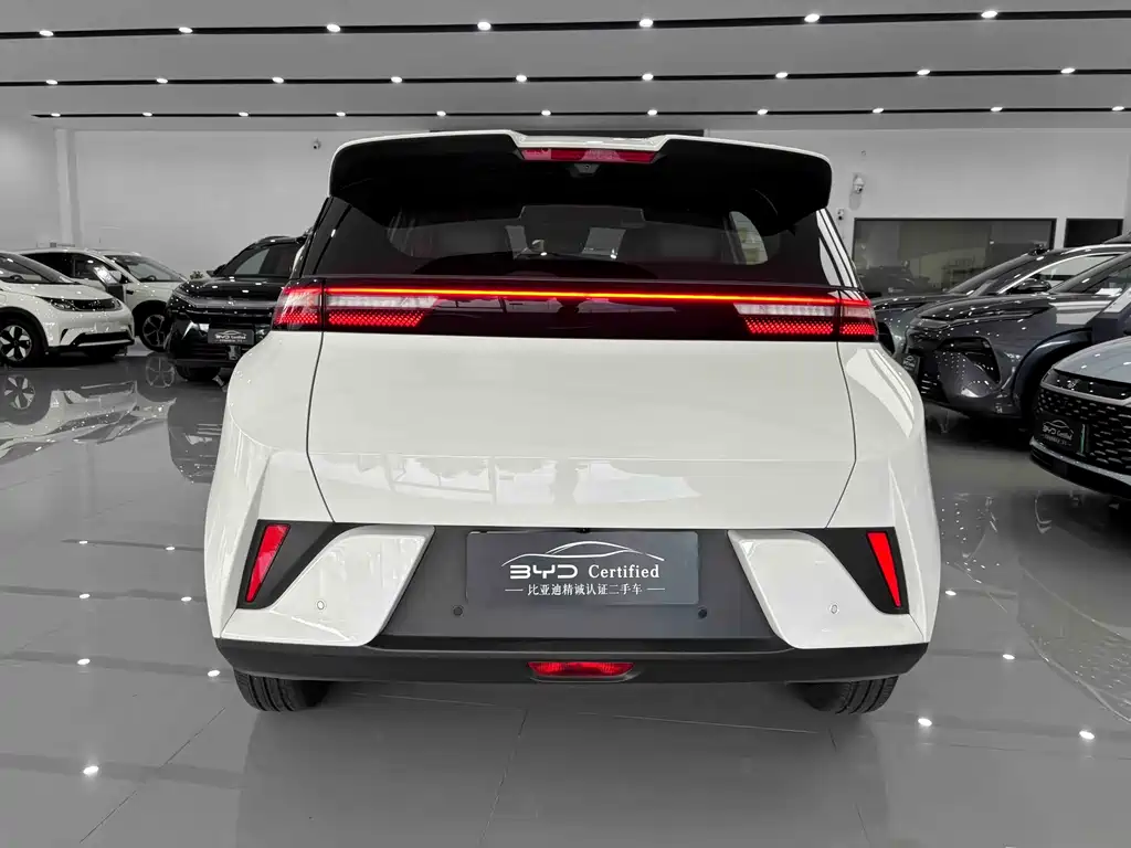 BYD Seagull 2025