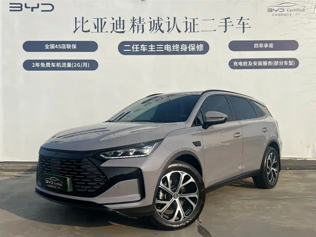 BYD Tang New Energy 2025 — фото 1