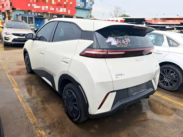 BYD Seagull 2025