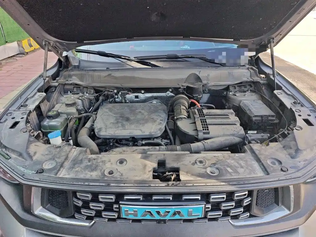 Haval Dargo PLUS EV 2023 — фото 11