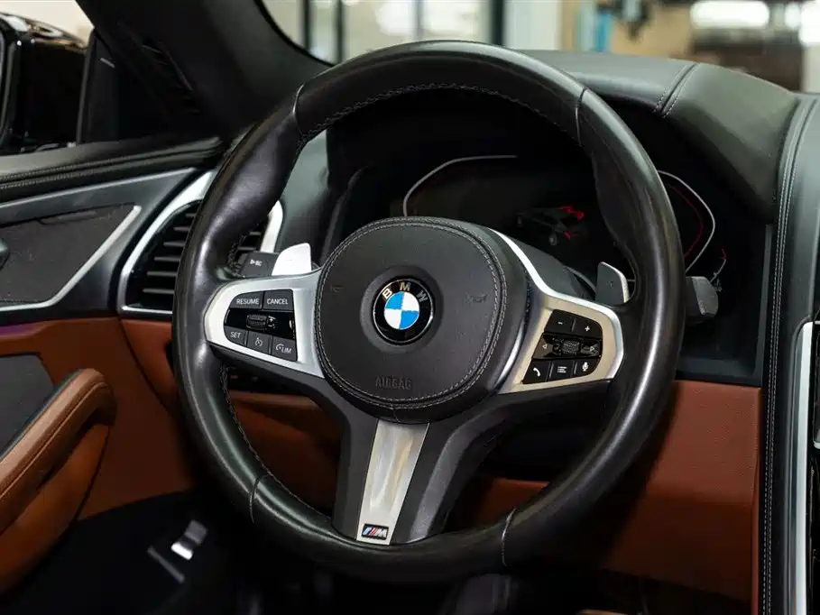 BMW 8 Series 2019 — фото 12
