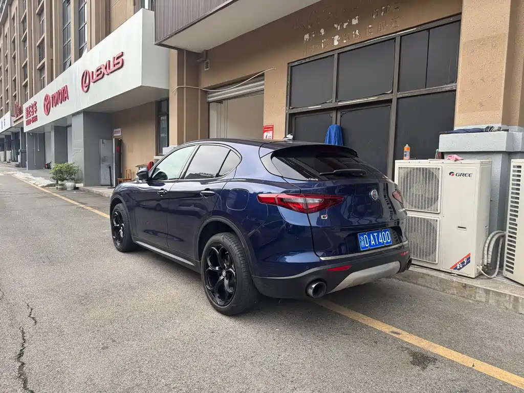 Alfa Romeo Stelvio 2019 — фото 11