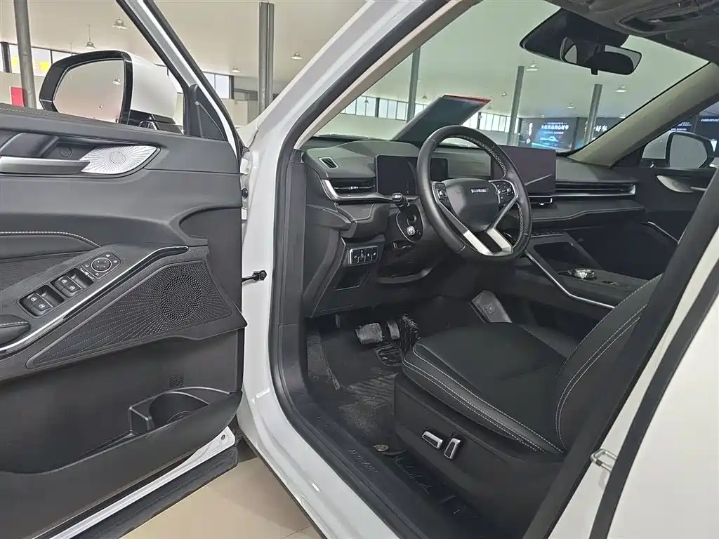 Haval H6 New Energy 2024 — фото 16