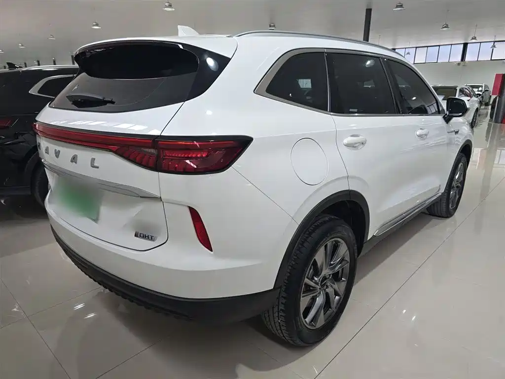 Haval H6 New Energy 2024 — фото 7