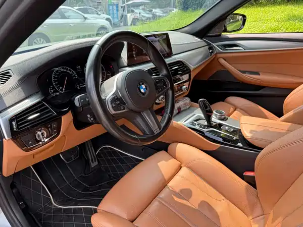 BMW 5 Series 2019