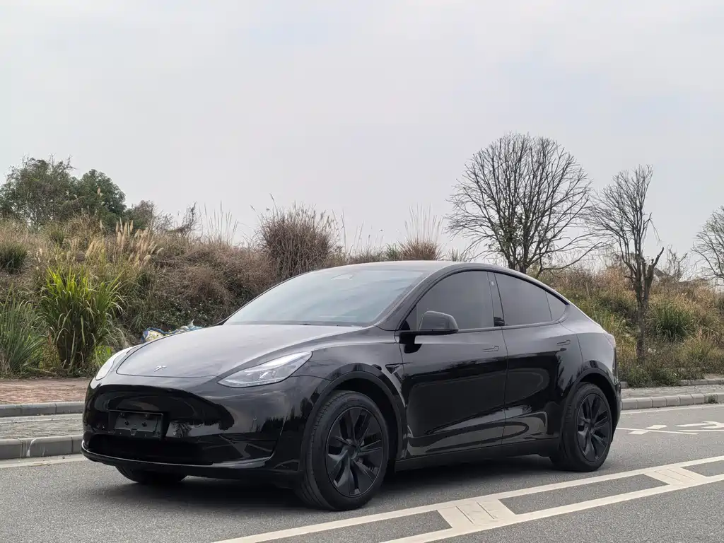 Tesla Model Y 2023 — фото 1