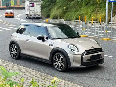 MINI MINI 2022