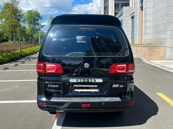 Dongfeng Lingzhi 2020