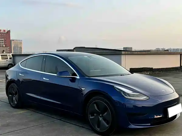 Tesla Model 3 2020