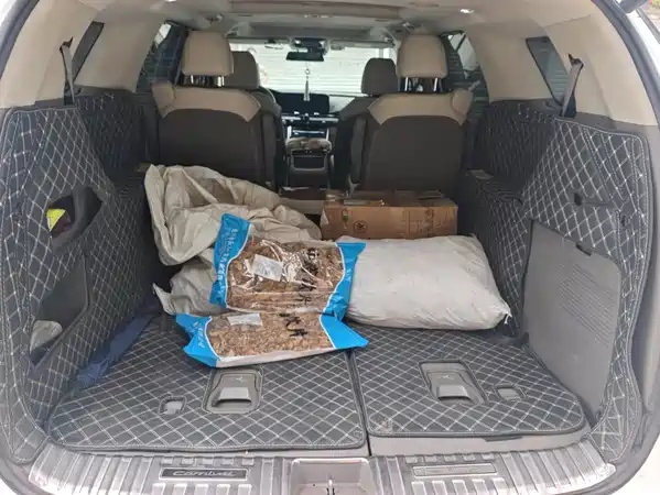 Kia Carnival 2024